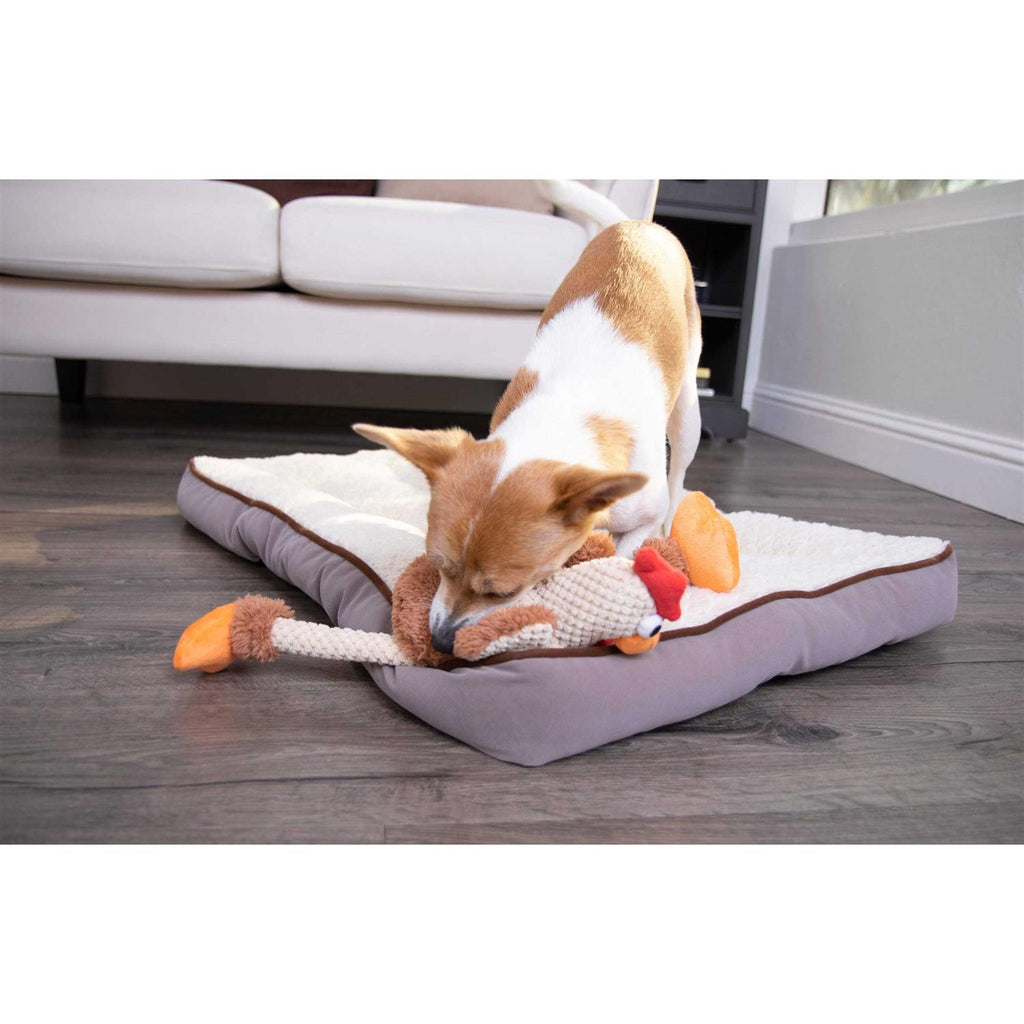 Skinny Rooster Dog Toy K851471