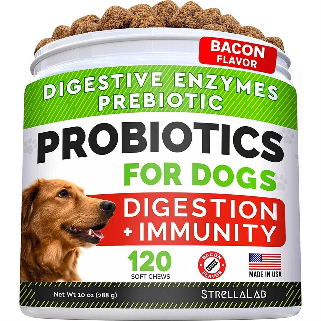 Probiotics for Dogs B271717