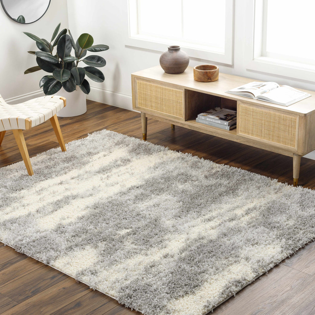 Gray Brown Plush Pile Area Rug 2' x 3' Z640133