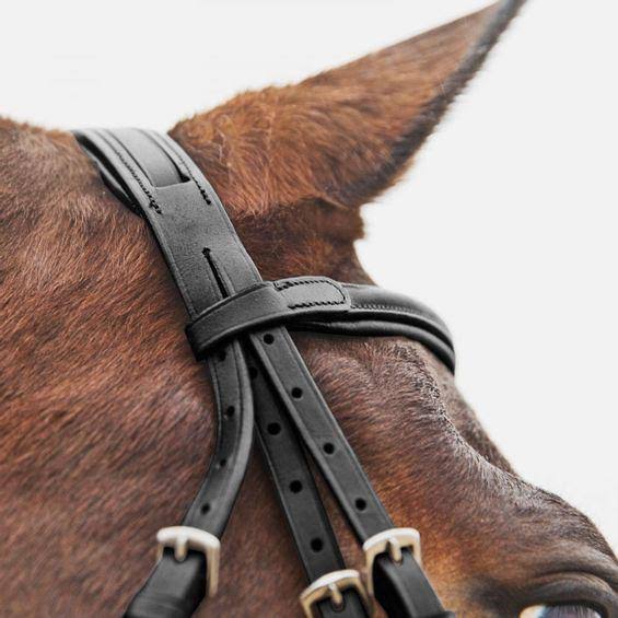 Brown Figure 8 Bridle M974849