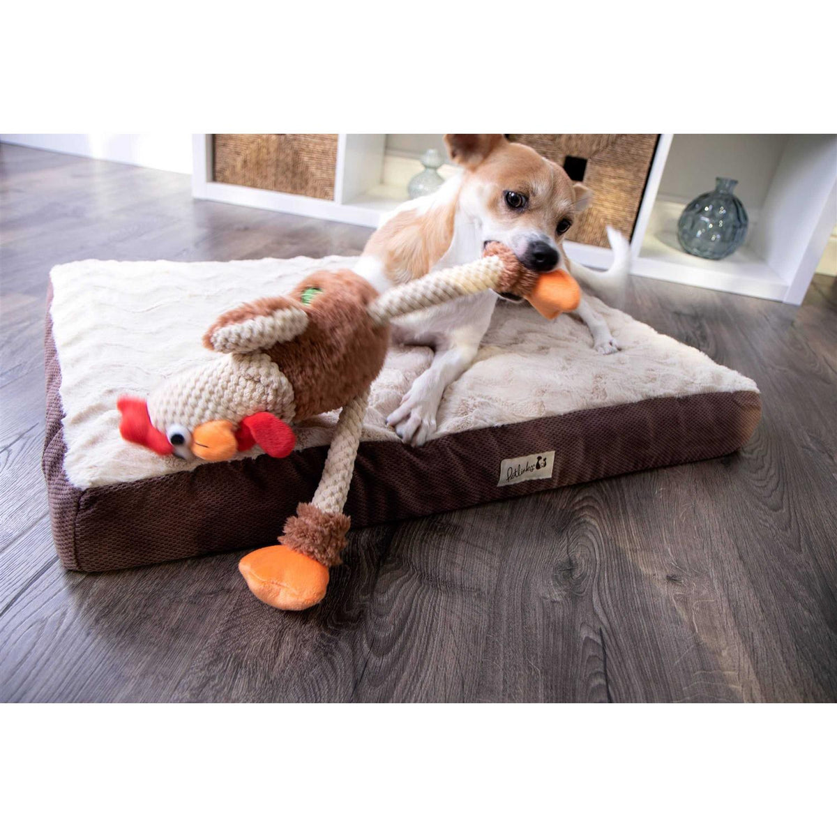 Skinny Rooster Dog Toy K851471