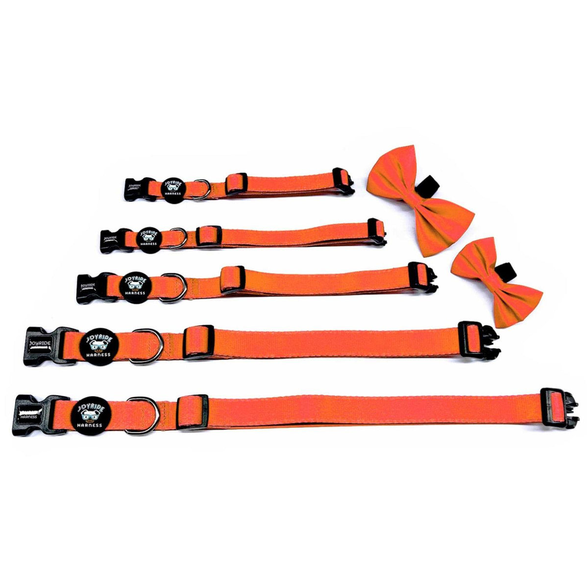 Dog Collar with Removable Bow Tie S679637