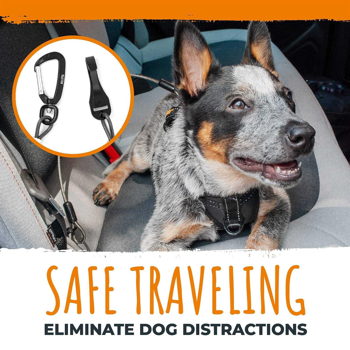 Chew-Proof Dog Seat Belt N3578
