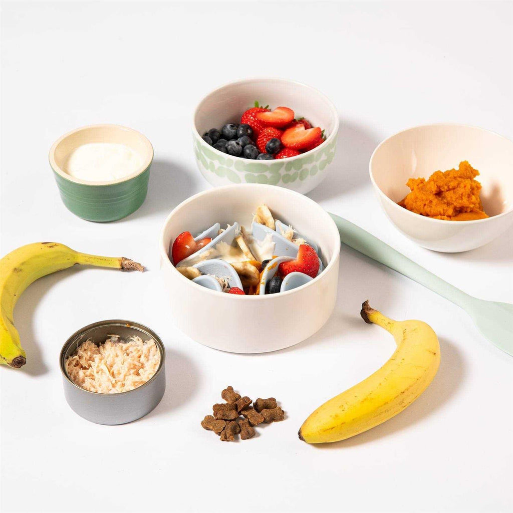 Silicone Bowl Insert Dog Feeding Mat O467208