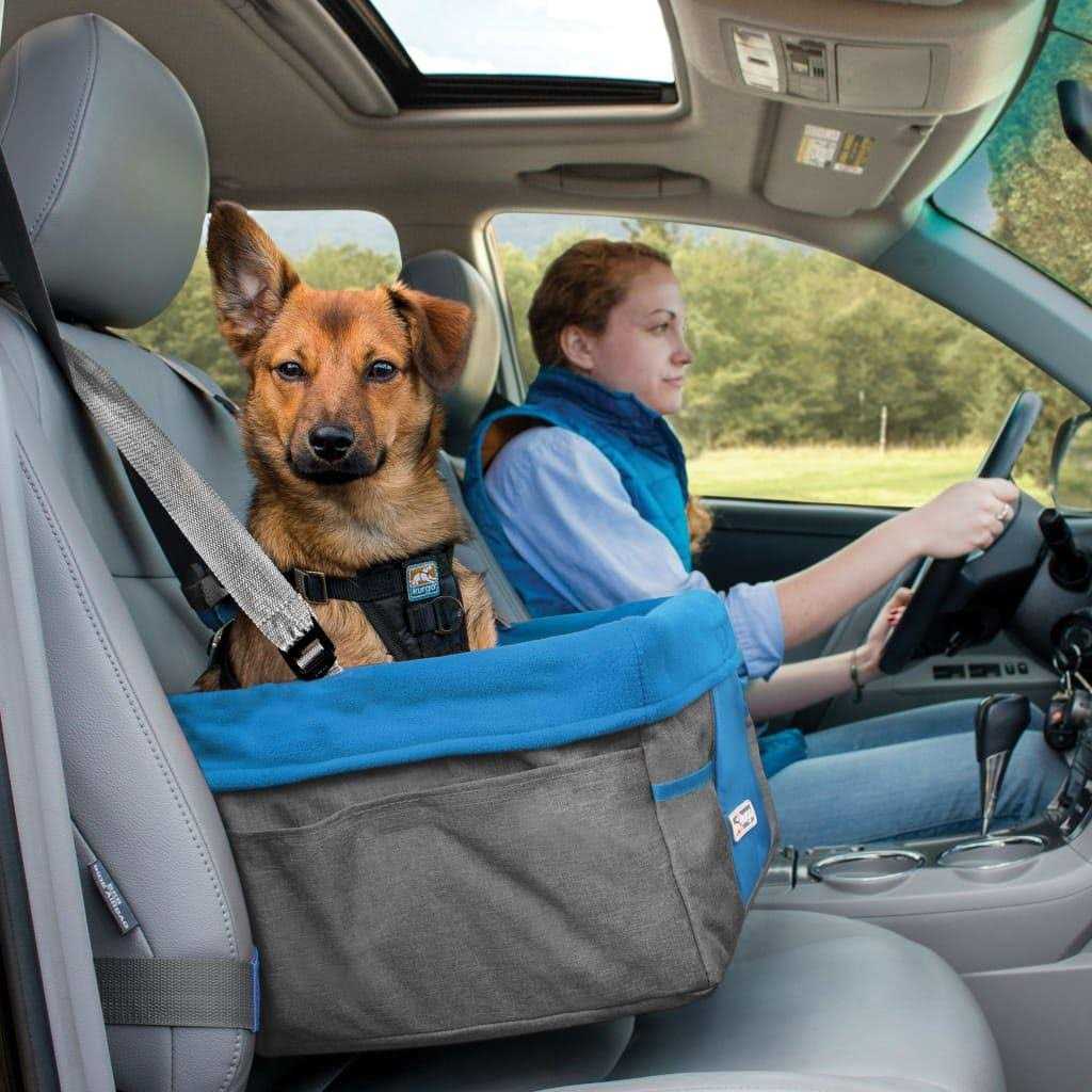 Heather Dog Booster Seat V695