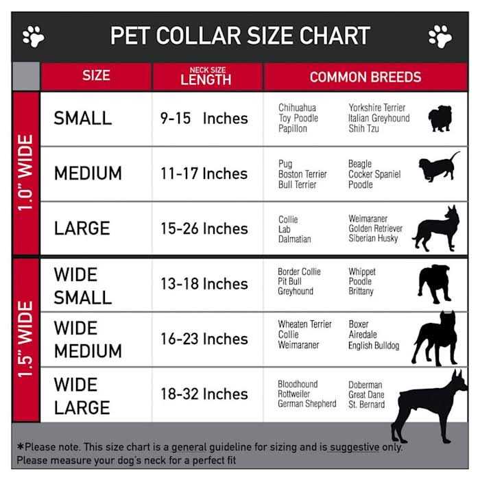 Dog Collar Seatbelt Buckle K75692