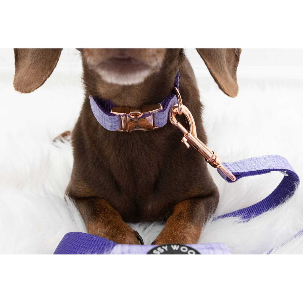 Dog Collar O115