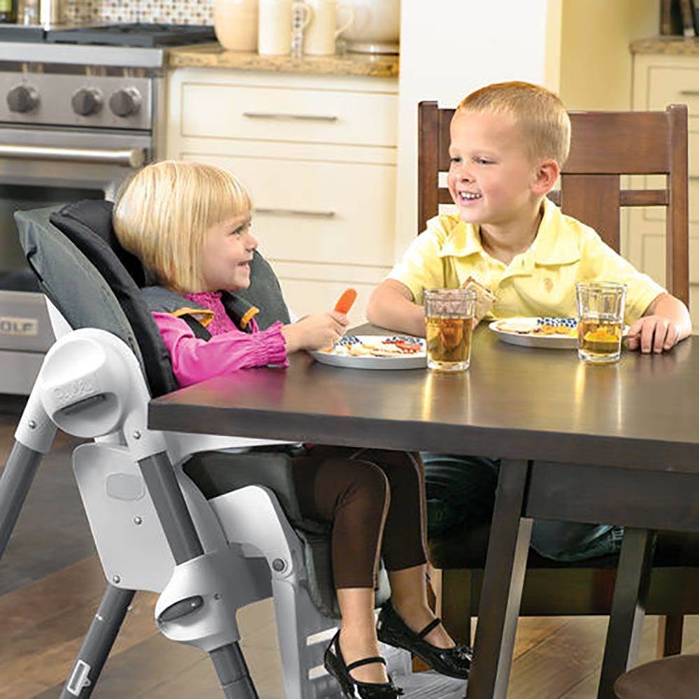 Chicco Polly Highchair T96272