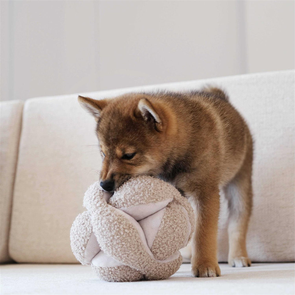 Dog Toy E1608