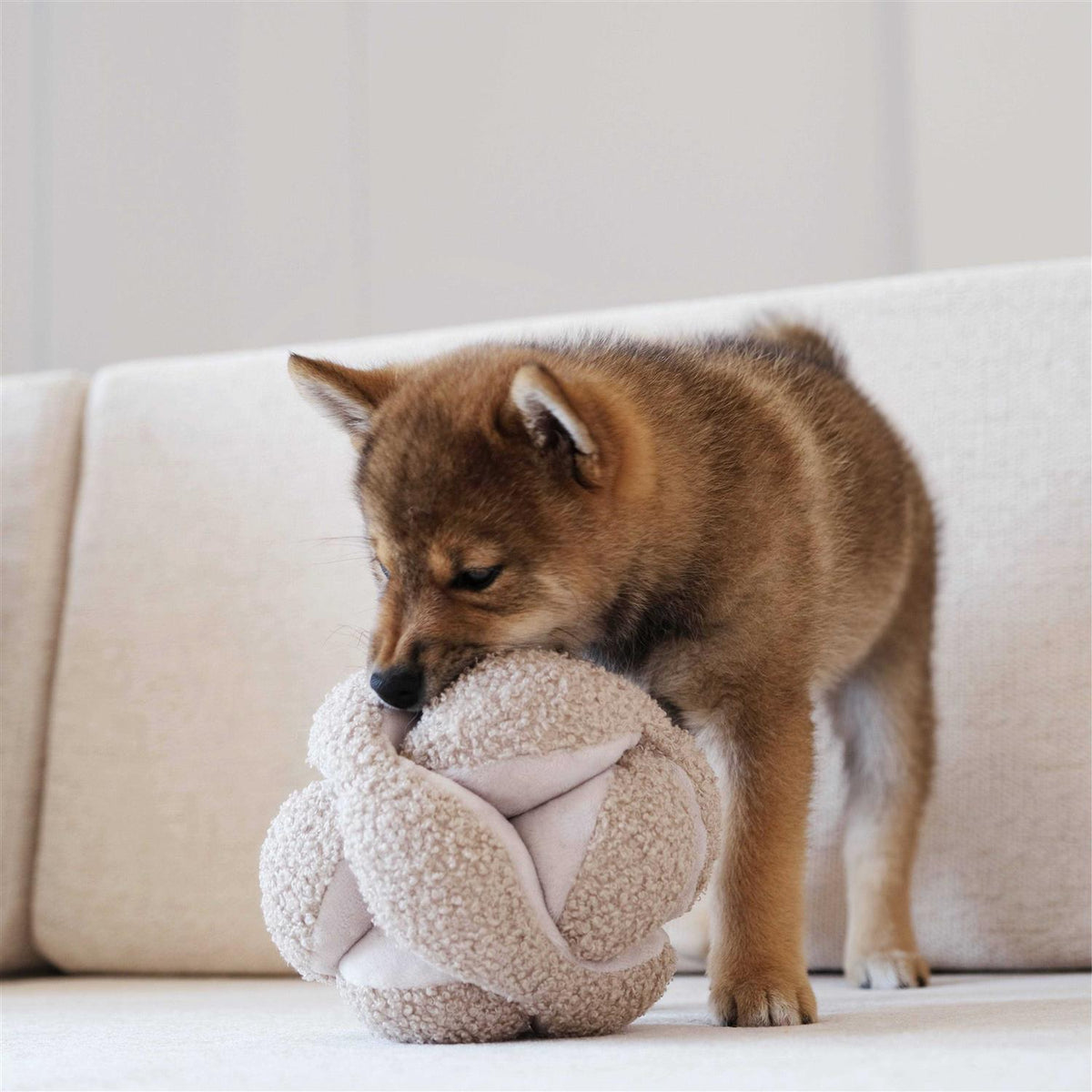Dog Toy E1608