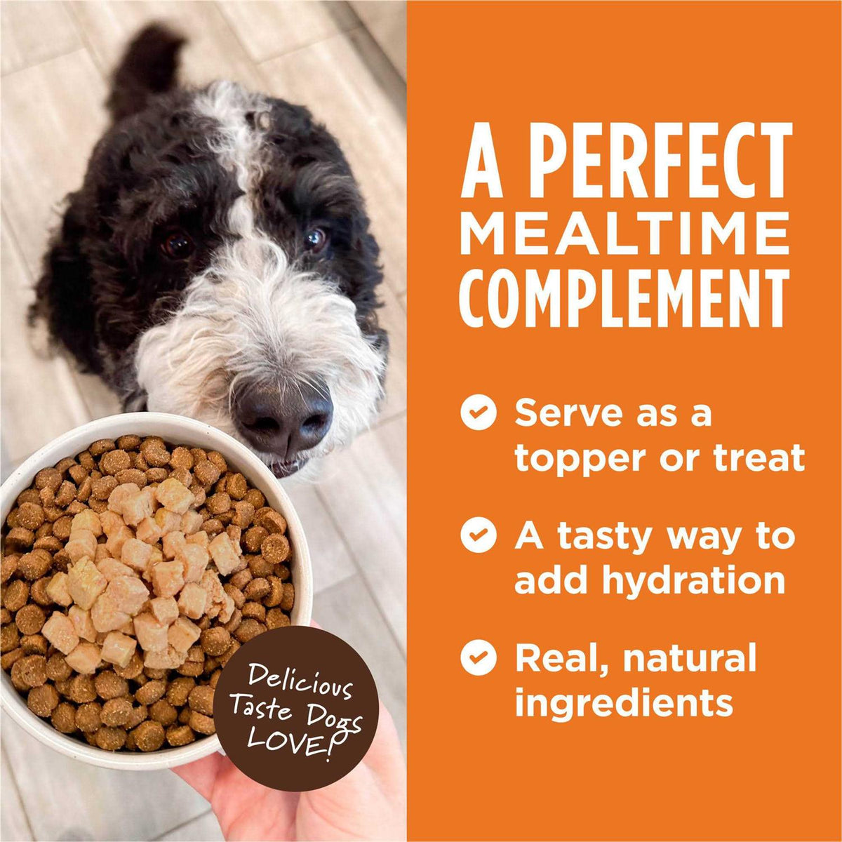 Grain Free Wet Dog Food Topper P206