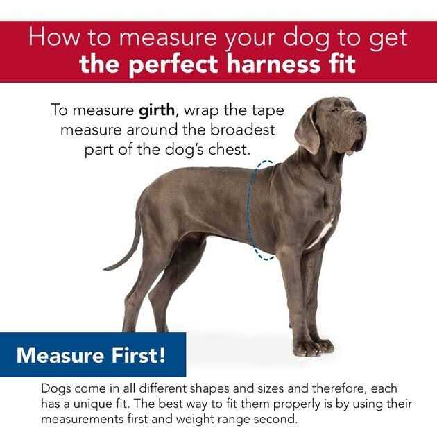 Adjustable Dog Harness G220269