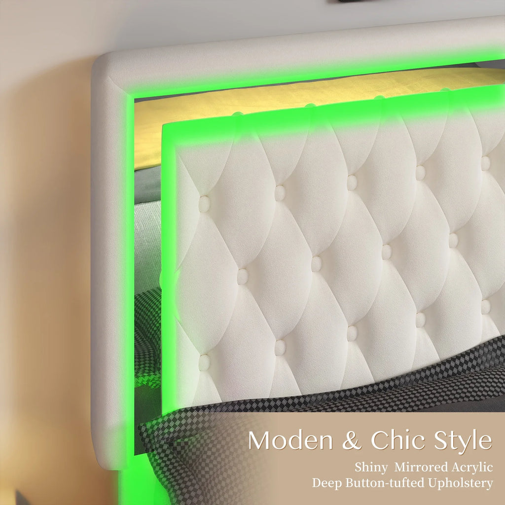 Queen Size Velvet Button Tufted LED Bed Frame U82341