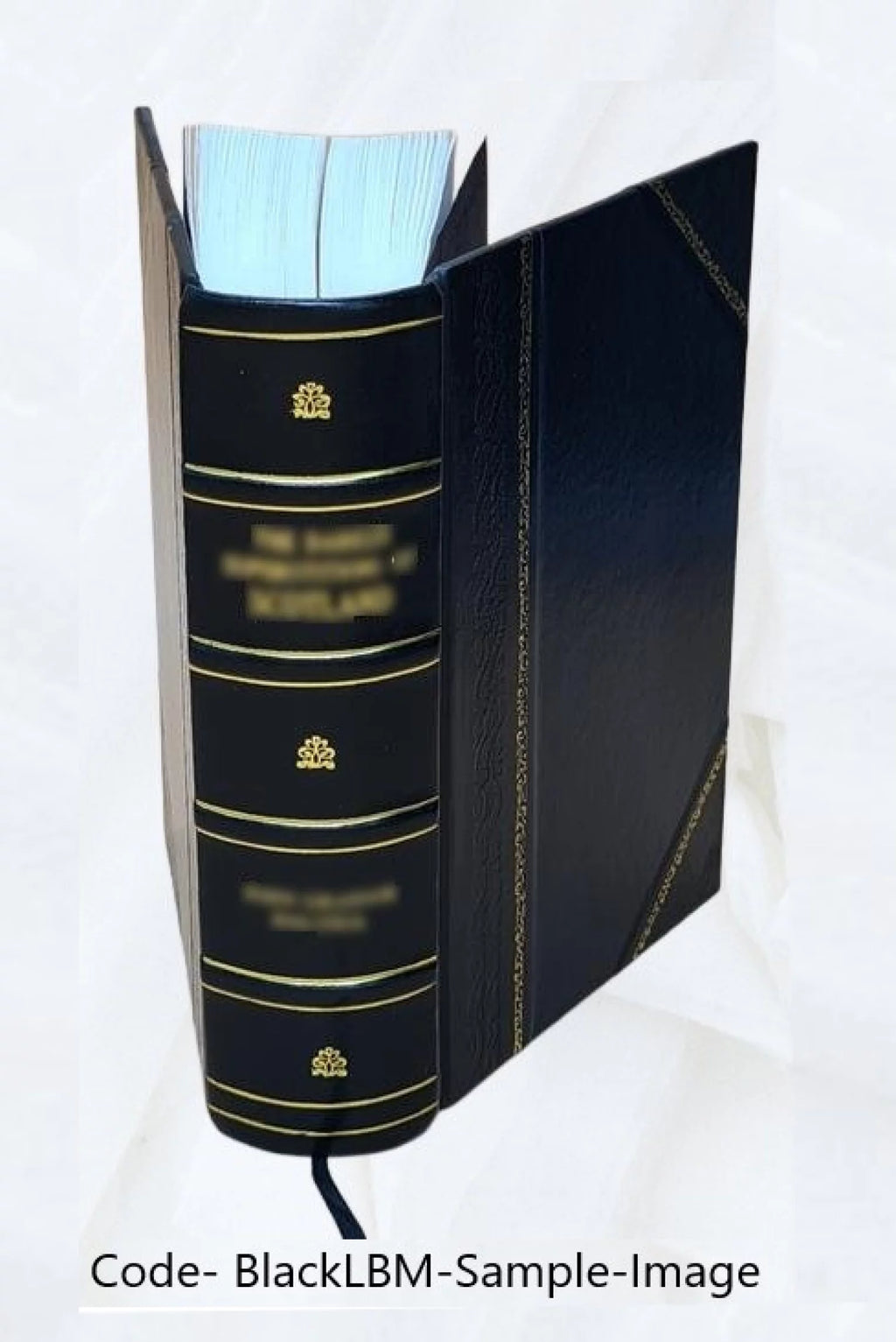 Leather Bound Book Z585