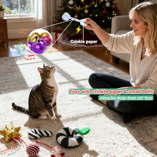 Christmas Cat Toys Set, 10Pcs Catnip Toys with Gift Box L888312