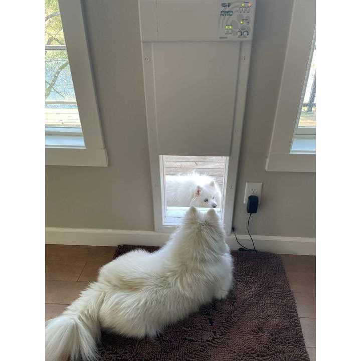 Electronic Pet Door Q104