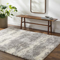 Gray Brown Plush Pile Area Rug 2' x 3' Z640133