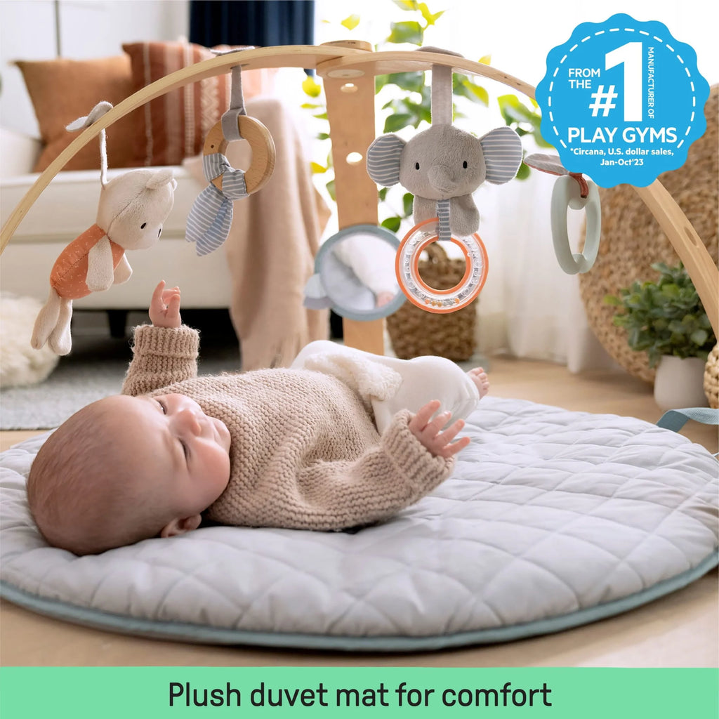Baby Activity Gym & Tummy Time Play Mat with Storage D2611