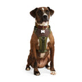 Dog Harness P67926