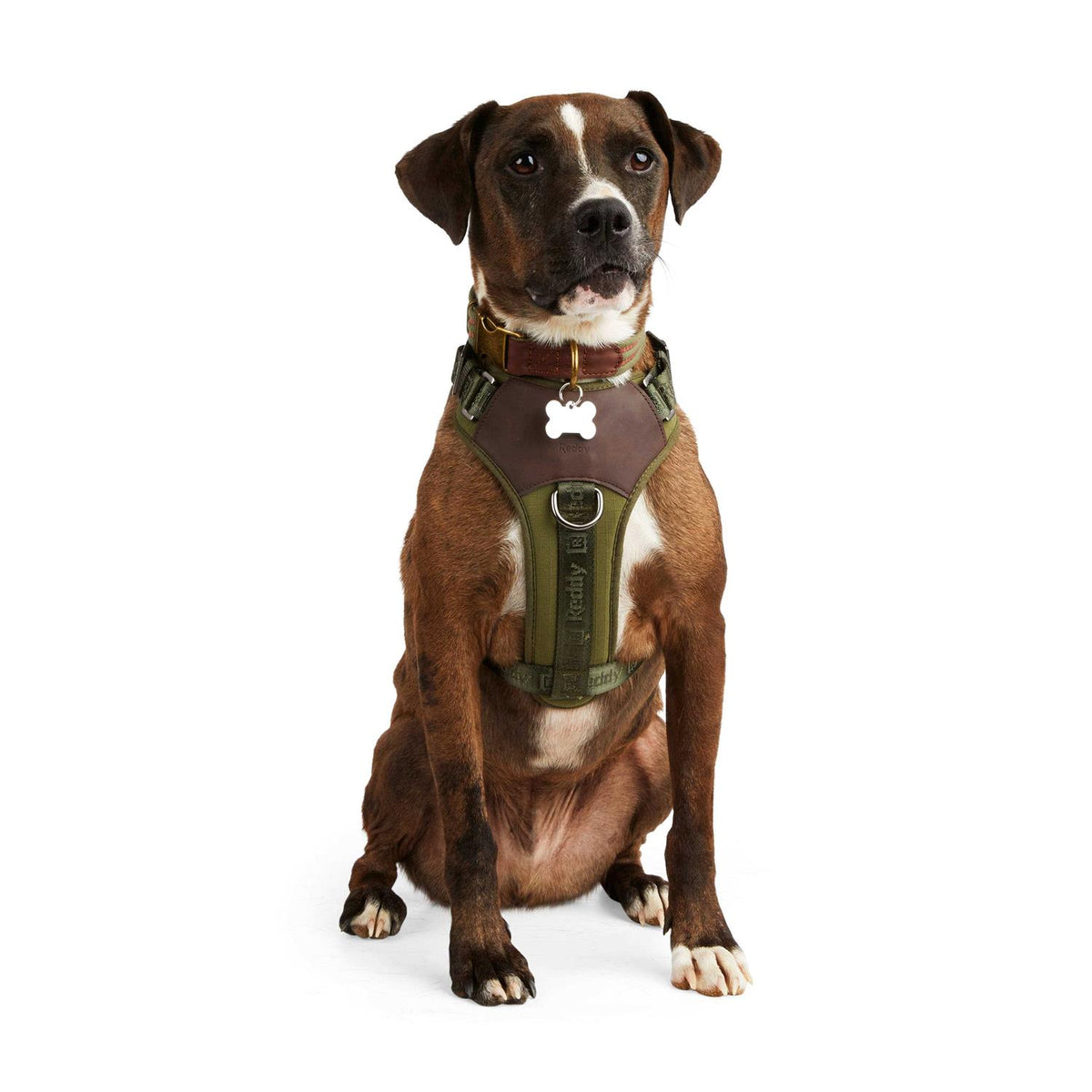Dog Harness P67926