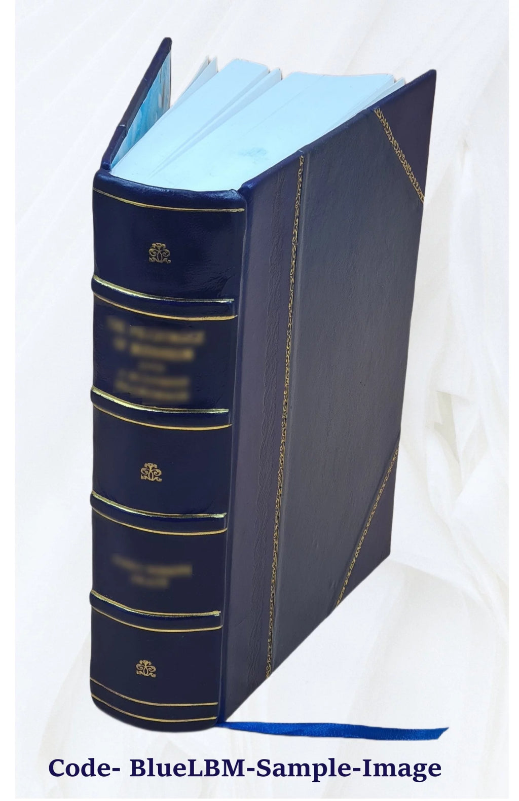 Leather Bound Book Z585