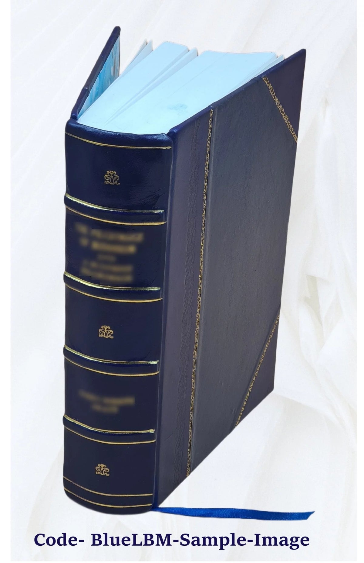 Leather Bound Book Z585