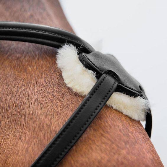 Brown Figure 8 Bridle M974849