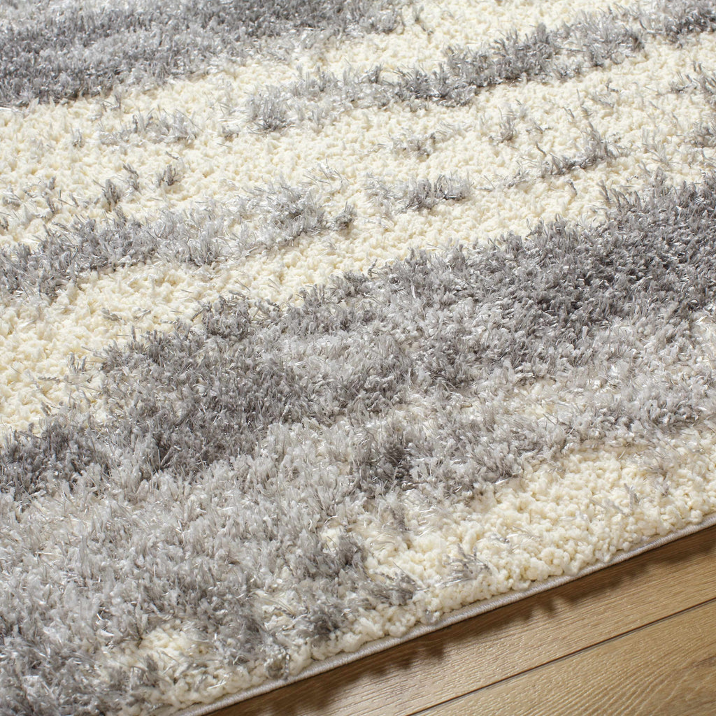Gray Brown Plush Pile Area Rug 2' x 3' Z640133