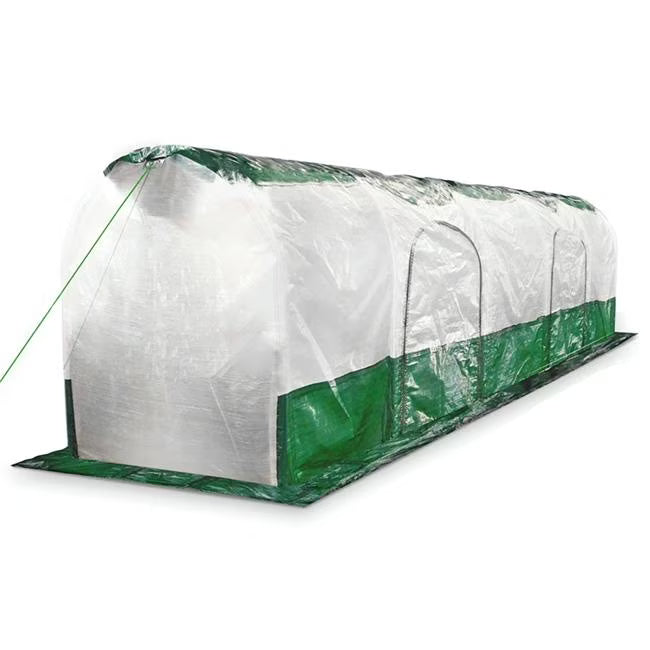 Polytunnel Super Dome B24729