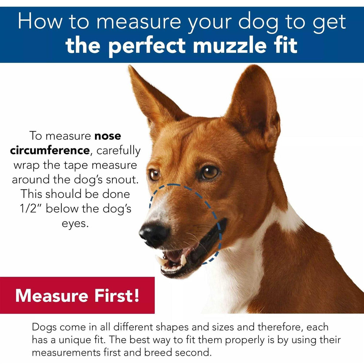 Mesh Dog Muzzle Size 5 G961279