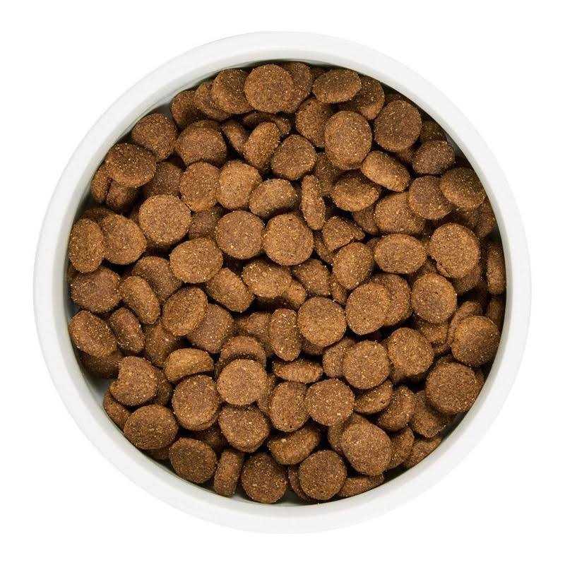 Grain Free Lamb and Lentil Dry Dog Food K357170