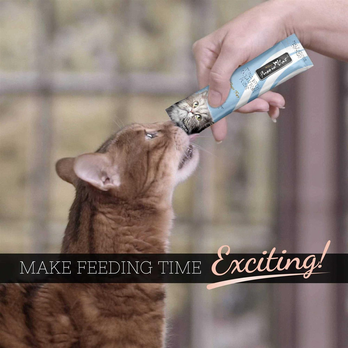 Tuna Cat Puree V3647