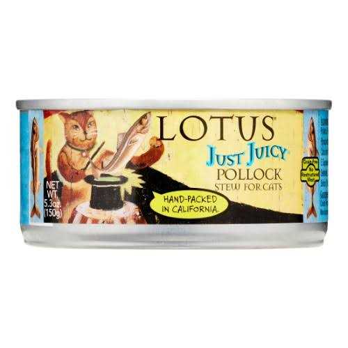 Salmon & Pollock Stew Cat Food B852951