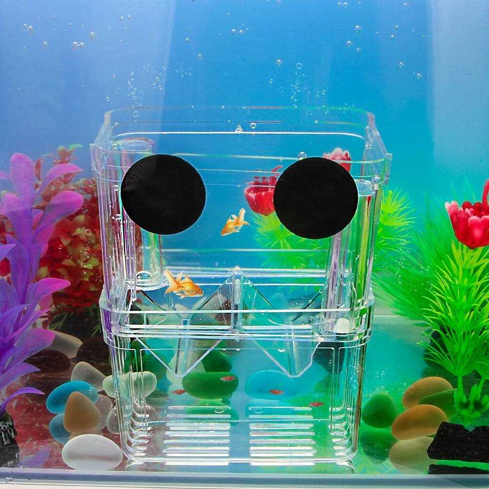 Aquarium Fish Breeder Box Plastic Isolation Hatching Incubator Box V2231