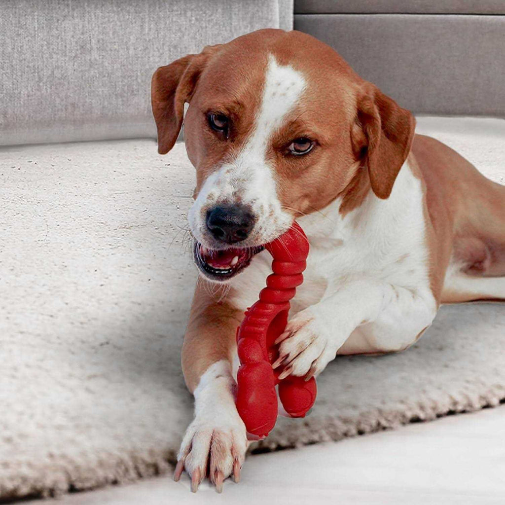 Power Chew Lobster Dog Toy Filet Mignon N952319