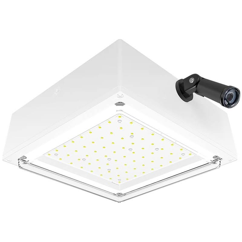 Vandalproof Canopy 10W Cool LED 120V White K10931