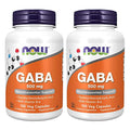Gaba 500mg 100 Count Pack of 2 D7993