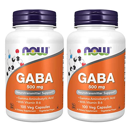 Gaba 500mg 100 Count Pack of 2 D7993
