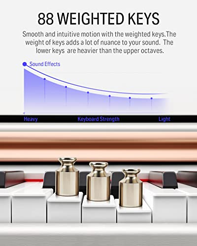 88-Key Weighted Action Digital Piano with Furniture Stand T78407