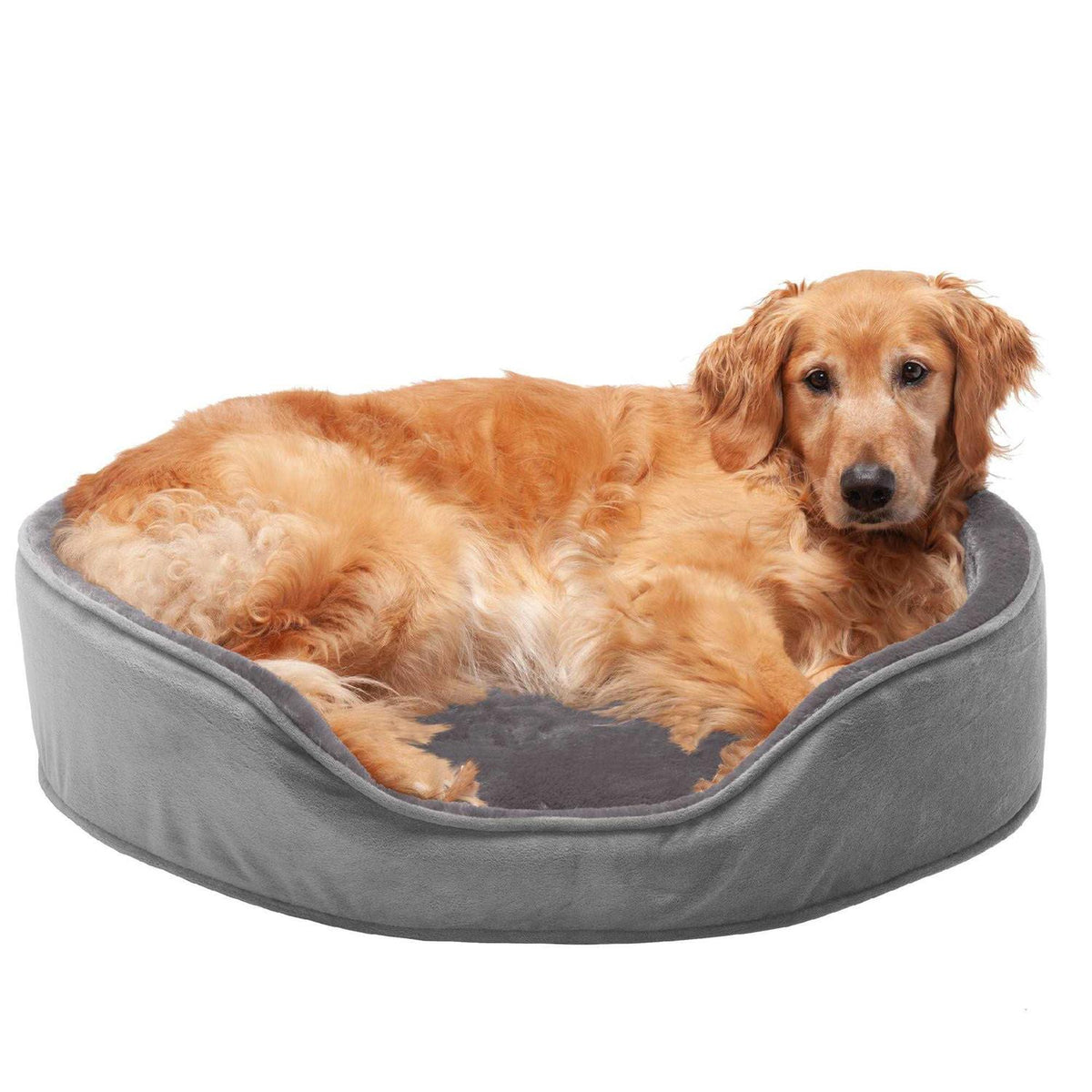 Velvet Oval Dog Bed B182