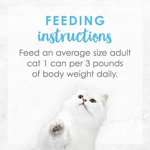 Wet Cat Food G496996