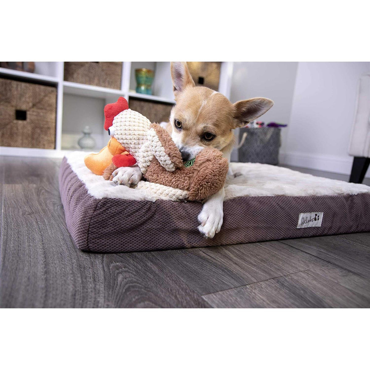 Skinny Rooster Dog Toy K851471