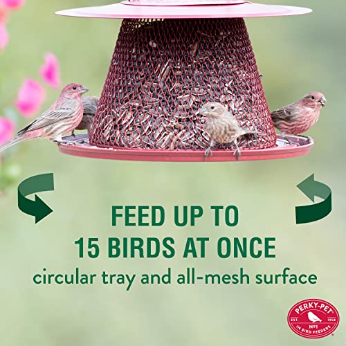Red Cardinal Bird Feeder - 2.5 Feed Capacity U8399