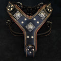 Dog Leather Harness E810