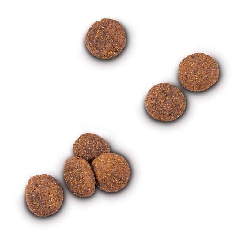 Grain Free Lamb and Lentil Dry Dog Food K357170