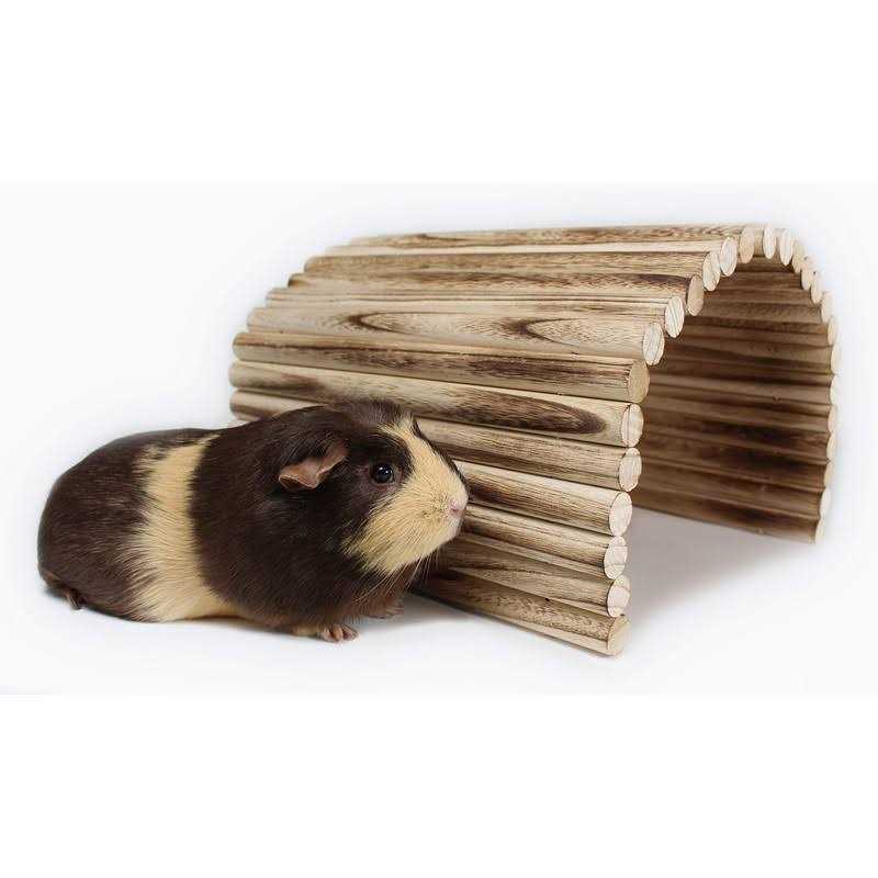 Extra Large Wood House Tunnel Ramp M94793