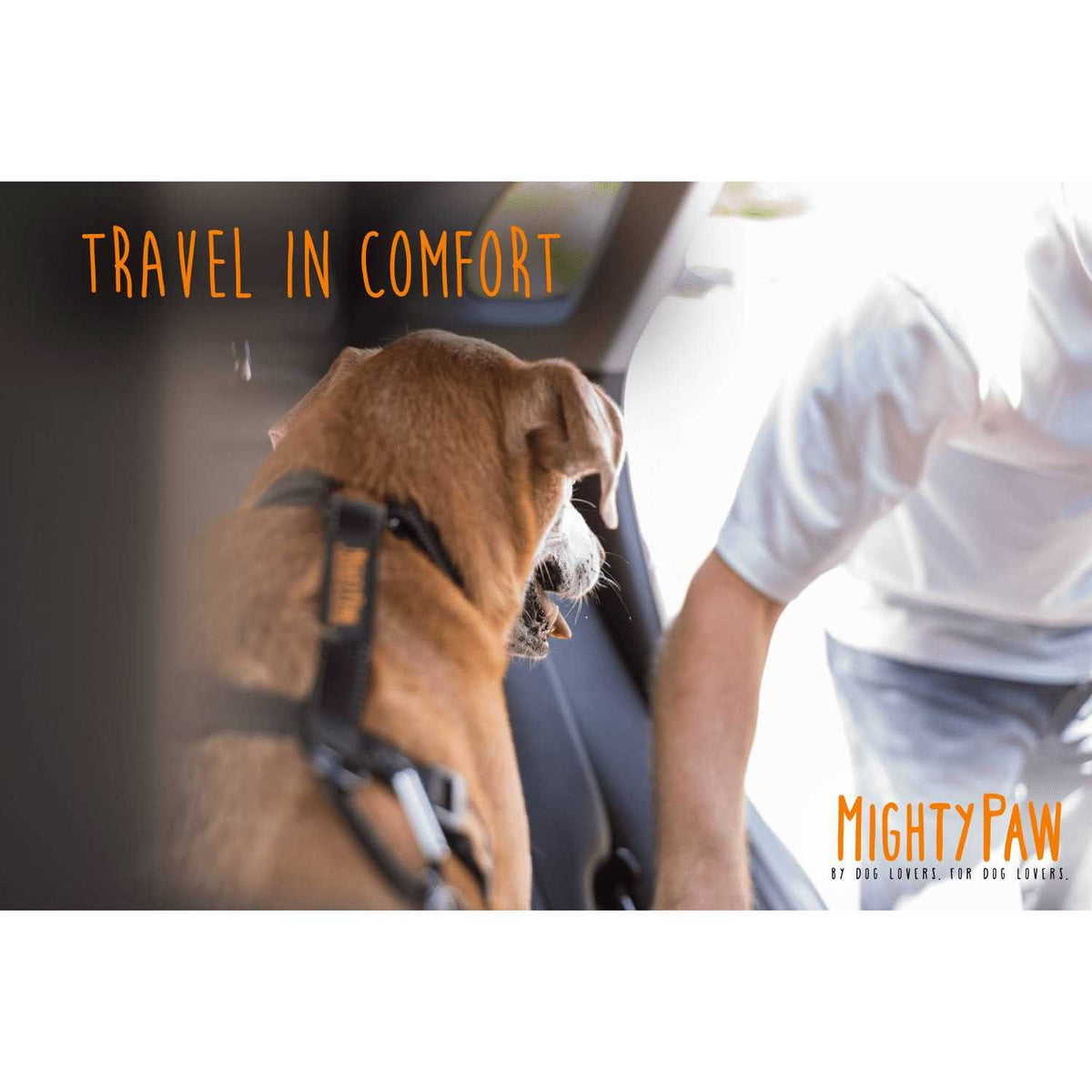 Chew-Proof Dog Seat Belt N3578