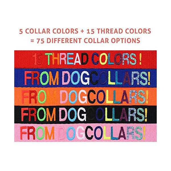Personalized Dog Collar T560426