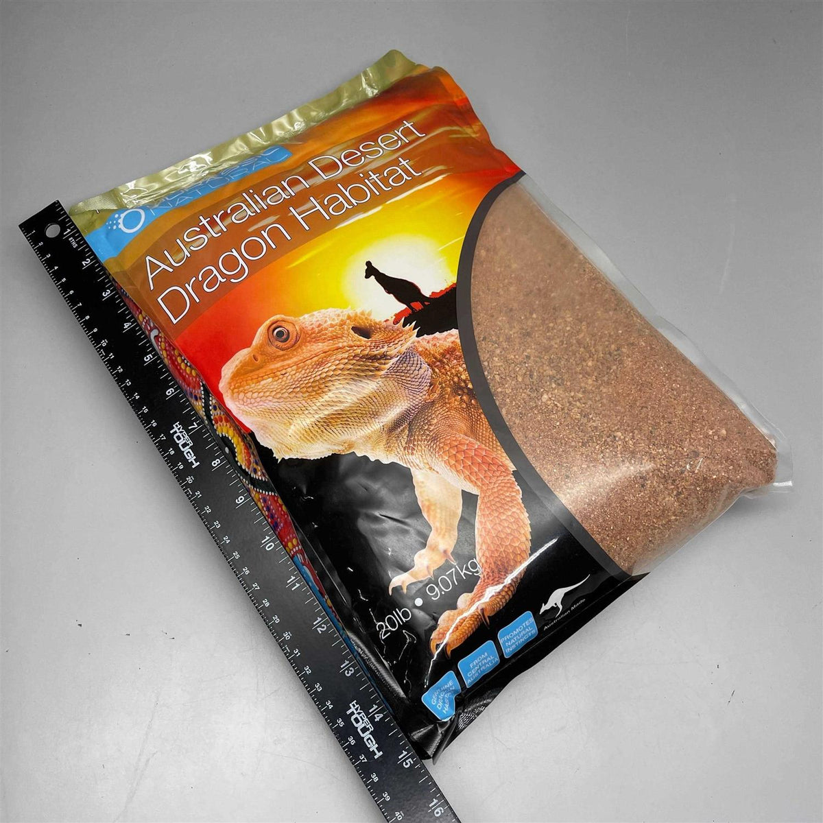 Australian Desert Dragon Habitat M113720