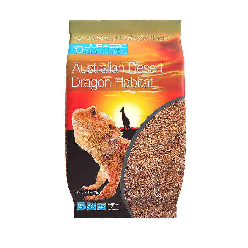 Australian Desert Dragon Habitat M113720